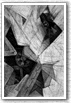"Engrepoulis"- gravure 6
