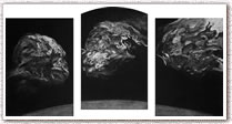 "Envol" - gravure 14