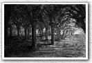 "Cloître" - gravure 15