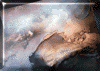 "Nuage", laque 6