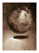 Exposition de gravures