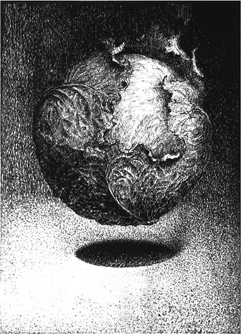 "Chou !", gravure de Claude Tournon