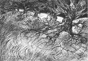 "Ying-yang" 2, gravure de Claude Tournon